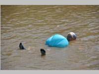 Blodan-Schwimmen in Leithaprodersdorf, 05.08.2013