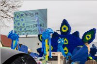 154. Lichtenwrther Faschingsumzug, 26.02.2017