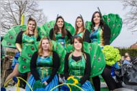 154. Lichtenwrther Faschingsumzug, 26.02.2017