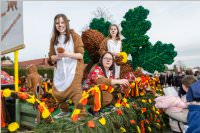 154. Lichtenwrther Faschingsumzug, 26.02.2017