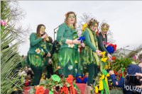 154. Lichtenwrther Faschingsumzug, 26.02.2017