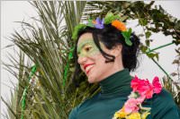 154. Lichtenwrther Faschingsumzug, 26.02.2017