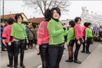 154. Lichtenwrther Faschingsumzug, 26.02.2017