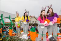 154. Lichtenwrther Faschingsumzug, 26.02.2017