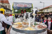 154. Lichtenwrther Faschingsumzug, 26.02.2017