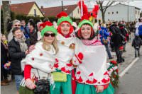 154. Lichtenwrther Faschingsumzug, 26.02.2017