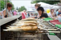 35. Neufelder Bauernmarkt, 15.08.2015