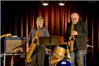 4. Blues Night mit Habersak & Friends, 18.02.2016