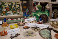 Gesundheitstage 'Er-Leben', 30.05.2015