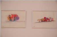 Frhjahrsausstellung vom Knstlerverein Neufeld, 20.05.2016