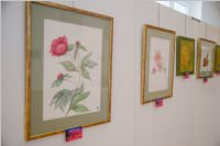 Frhjahrsausstellung vom Knstlerverein Neufeld, 20.05.2016