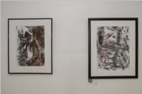 Frhjahrsausstellung vom Knstlerverein Neufeld, 20.05.2016