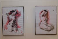 Frhjahrsausstellung vom Knstlerverein Neufeld, 20.05.2016