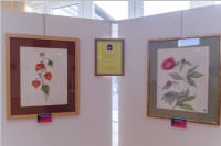 Frhjahrsausstellung vom Knstlerverein Neufeld, 20.05.2016