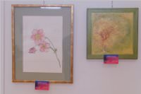 Frhjahrsausstellung vom Knstlerverein Neufeld, 20.05.2016