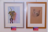 Frhjahrsausstellung vom Knstlerverein Neufeld, 20.05.2016