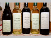 10. Stelzenschnapsen des Bauernbundes Neufeld, 21.02.2015