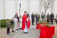 Palmzweigsegnung in Neufeld, 20.03.2016