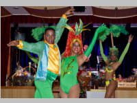 15. Stadtball in Neufeld, 11.01.2014