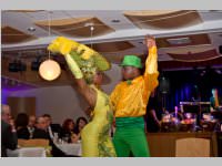 15. Stadtball in Neufeld, 11.01.2014