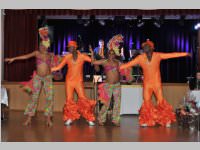 15. Stadtball in Neufeld, 11.01.2014