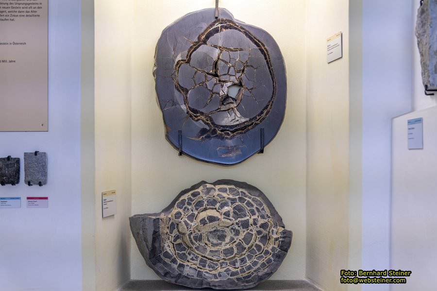 Krahuletz-Museum in Eggenburg, Oktober 2023