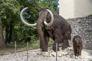 Projekt: MAMUZ Schloss Asparn/Zaya, September 2023