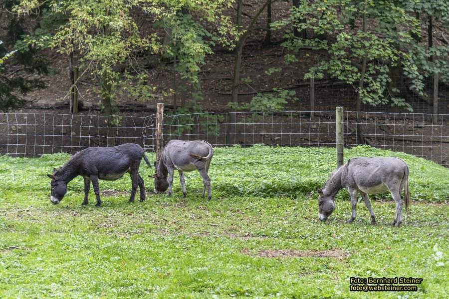 Naturpark Sparbach, September 2023