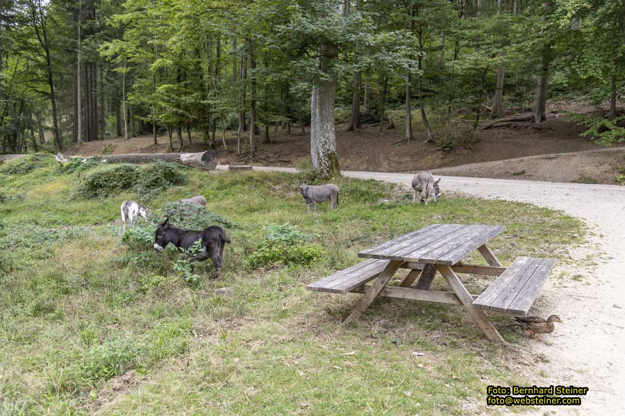 Naturpark Sparbach, September 2023