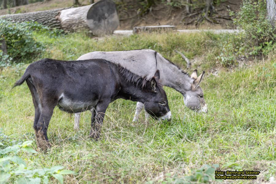 Naturpark Sparbach, September 2023