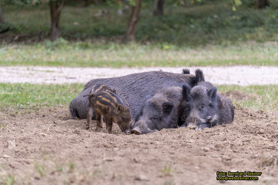 Naturpark Sparbach, September 2023