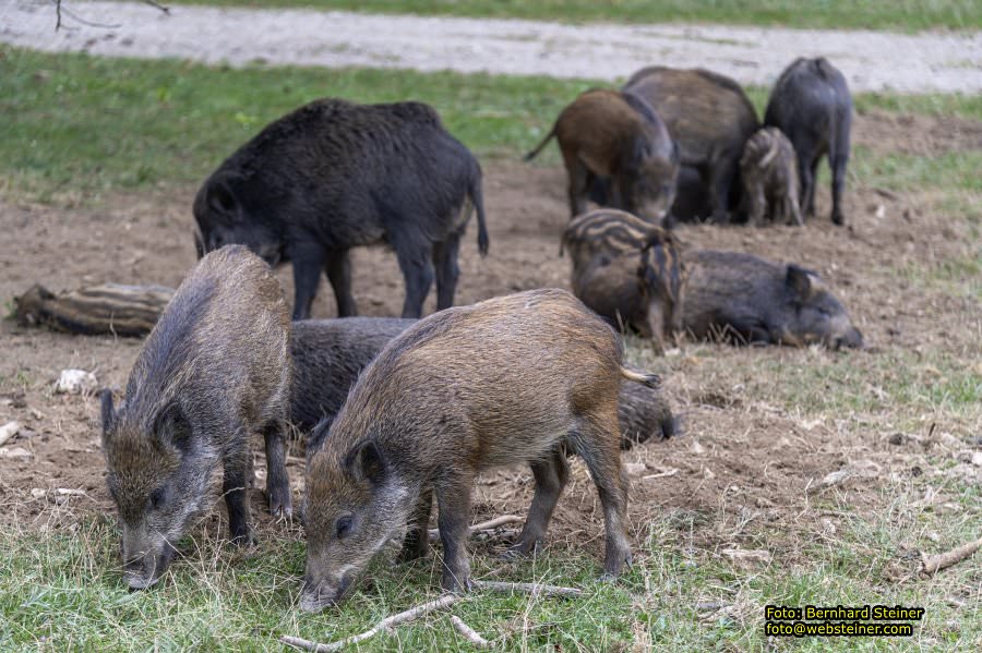 Naturpark Sparbach, September 2023