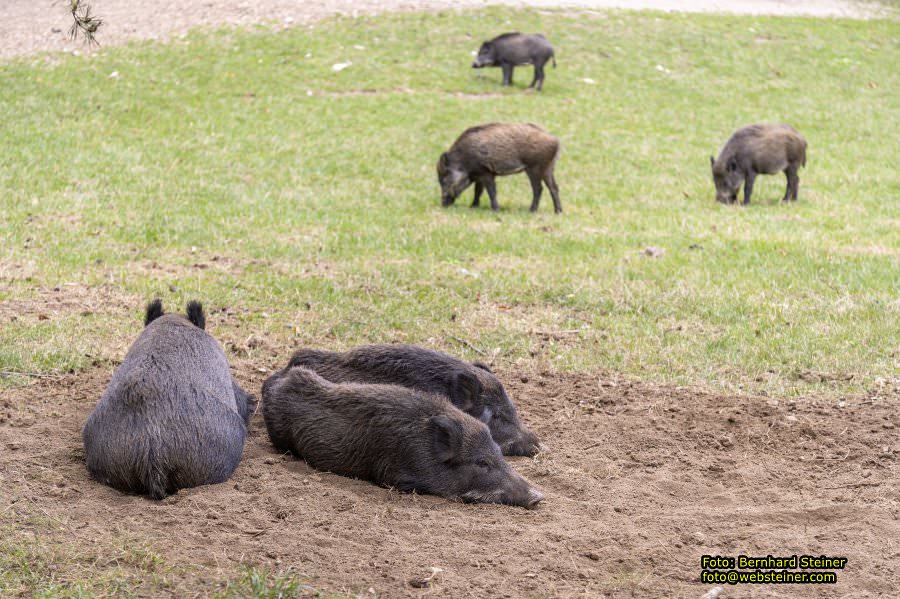 Naturpark Sparbach, September 2023