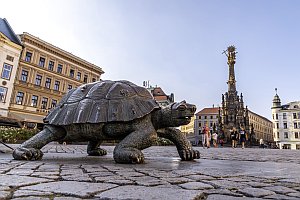 Projekt: Olomouc - Olmtz in Mhren, September 2021