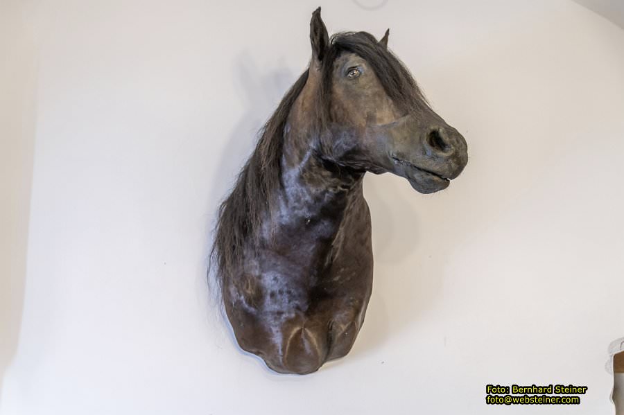 Burg Plankenstein, Februar 2024