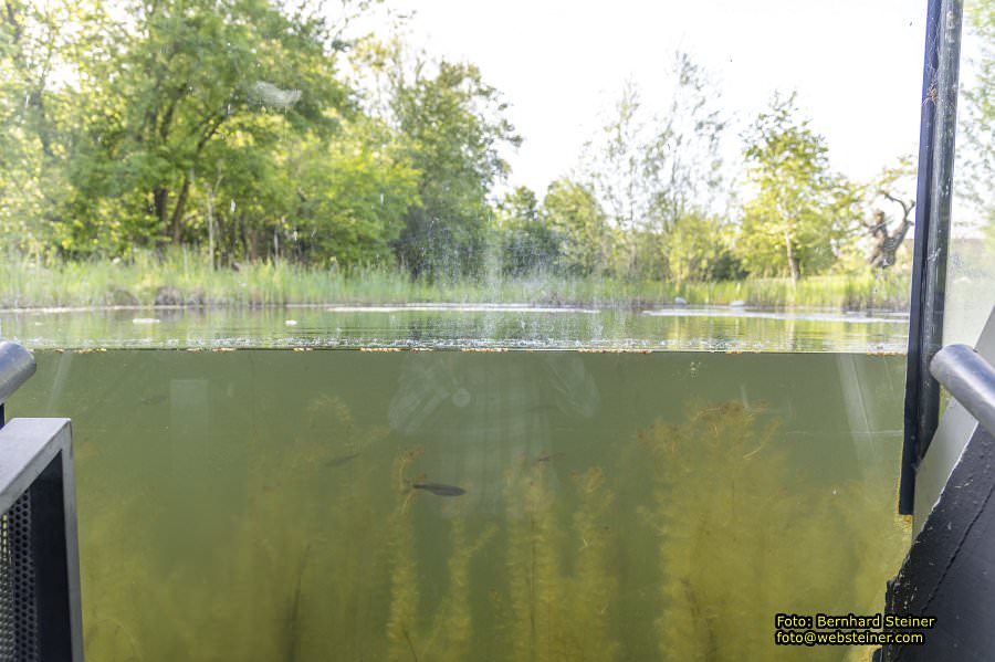 Schloss Orth, Orth an der Donau, Mai 2023