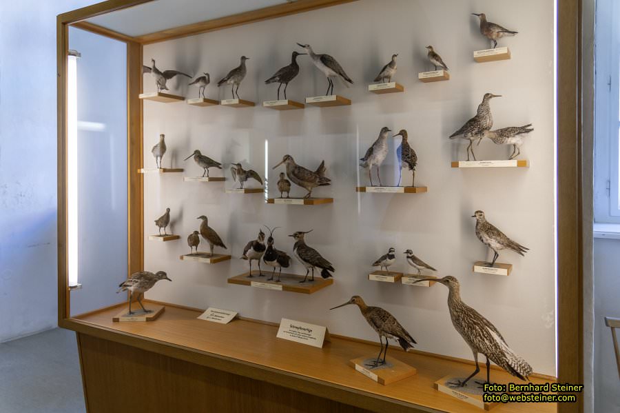 Benediktinerstift St. Lambrecht, Juli 2024