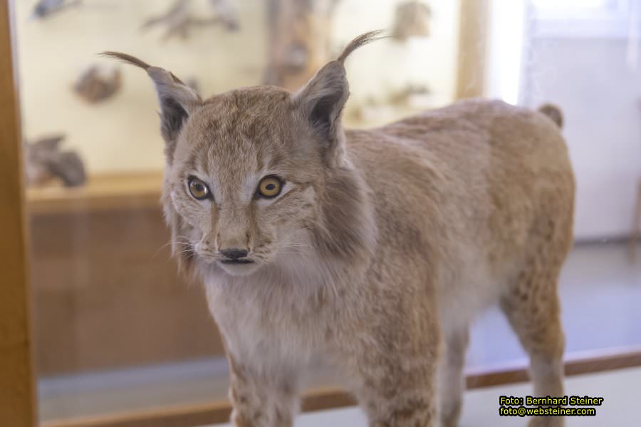 Benediktinerstift St. Lambrecht, Juli 2024