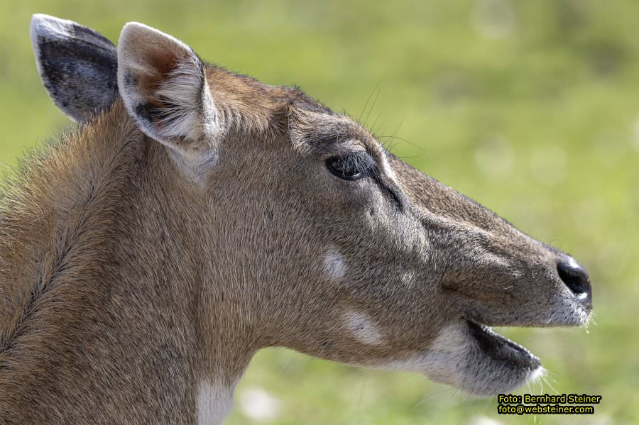 Tierpark Stadt Haag, März 2023
