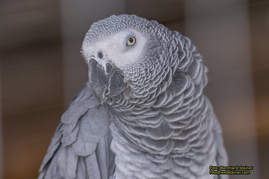 Tierpark Stadt Haag, März 2023