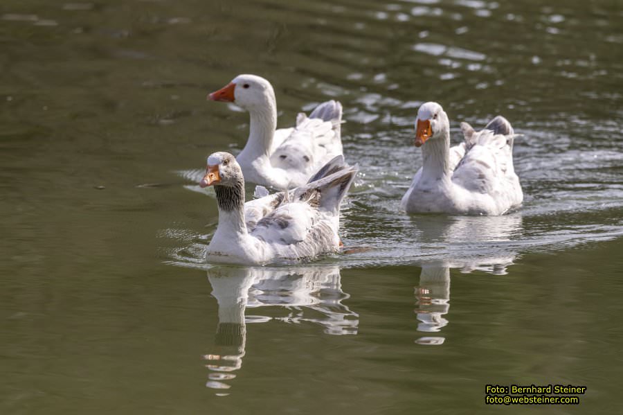 Tierpark Stadt Haag, März 2023