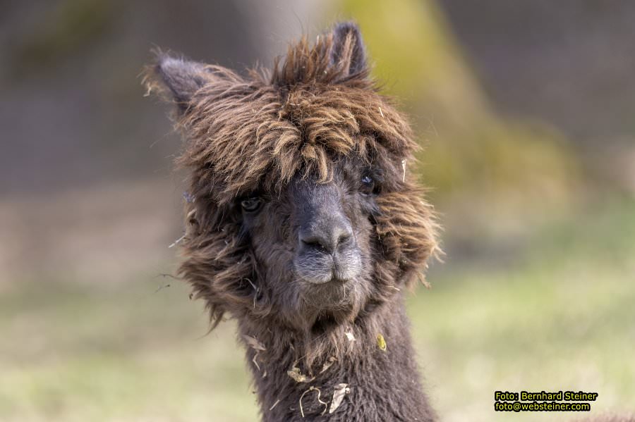 Tierpark Stadt Haag, März 2023