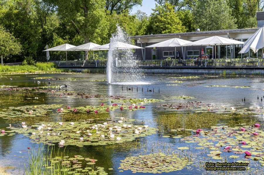 Garten Tulln an der Donau, Mai 2022