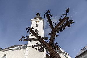 Projekt: Ybbsitz an der Eisenstrae, Jnner 2024