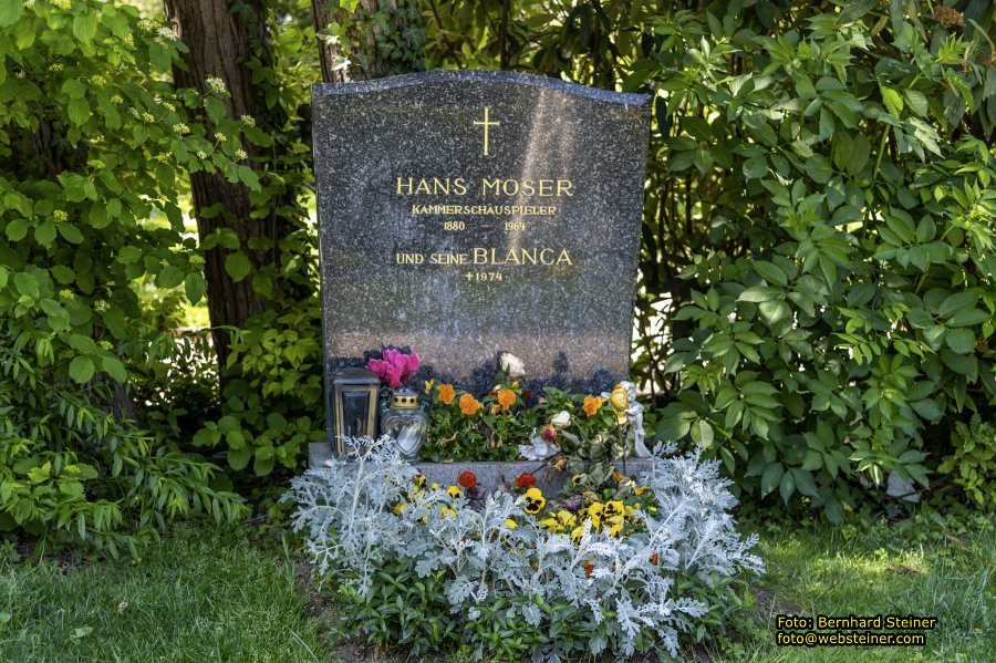 Zentralfriedhof Wien