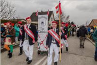 Zillingdorfer Faschingsumzug, 13.02.2018