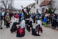 Zillingdorfer Faschingsumzug, 13.02.2018